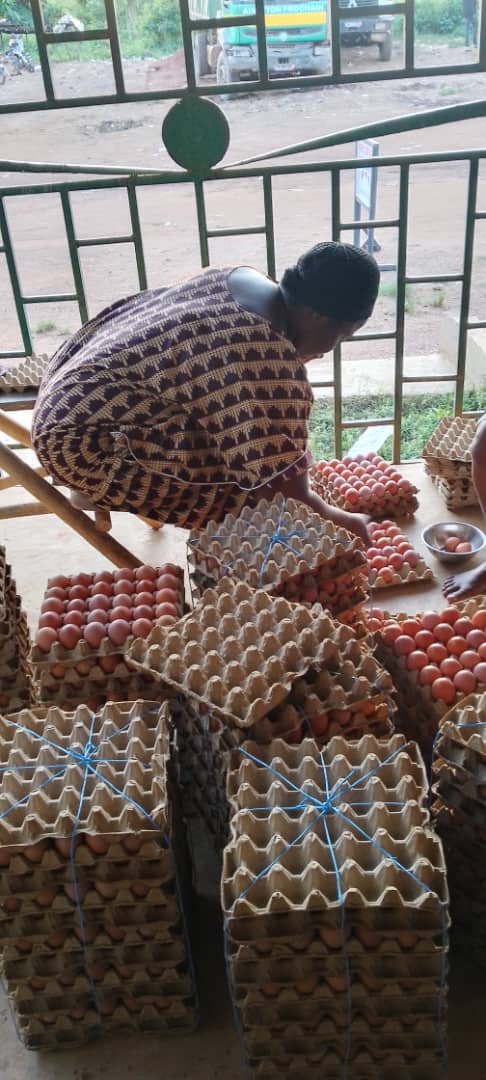 NOUS SOMMES DE SAOUKRO NOUS VENDONS DES PLAQUETTES D'OEUFS AU PRIX DE GROS